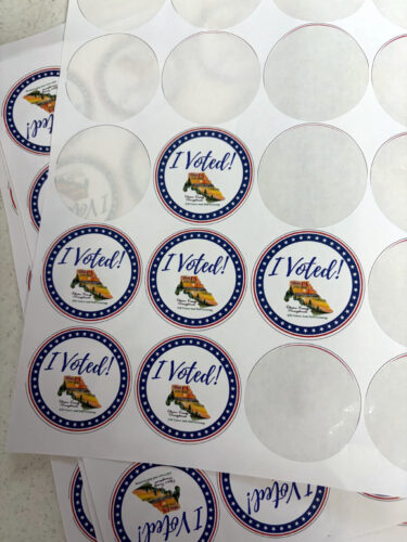 Uneventful Primary sees many move onto General Election